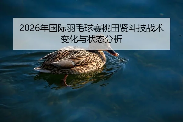 2026年国际羽毛球赛桃田贤斗技战术变化与状态分析
