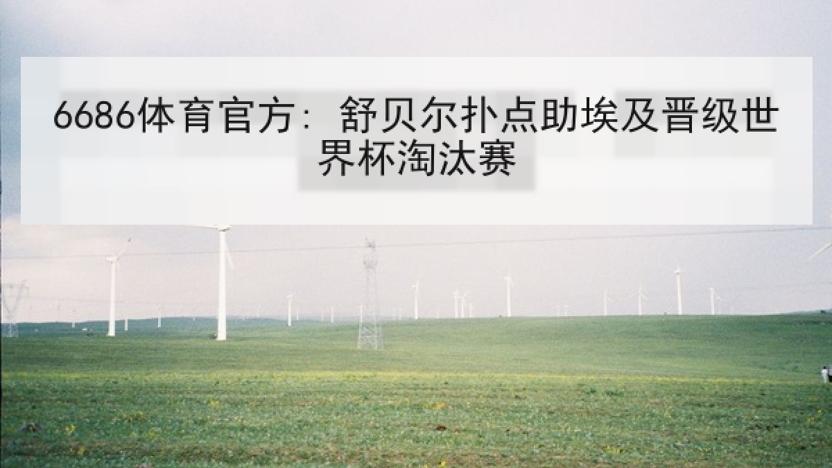 6686体育官方: 舒贝尔扑点助埃及晋级世界杯淘汰赛