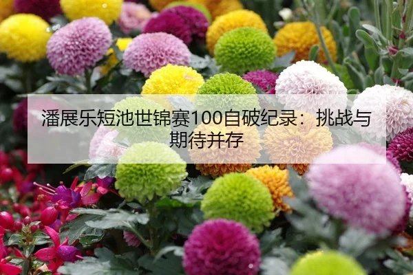 潘展乐短池世锦赛100自破纪录：挑战与期待并存